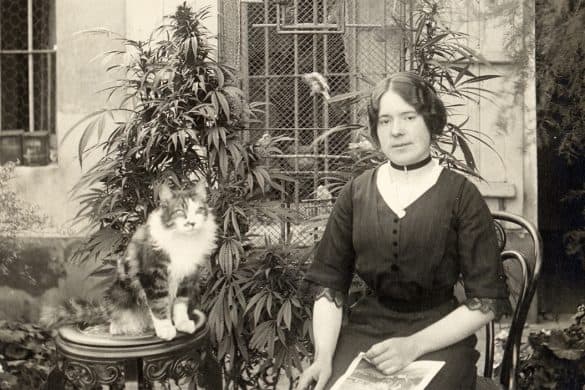 Parisian Woman With Her Cat in Her Cannabis Garden, 1910s